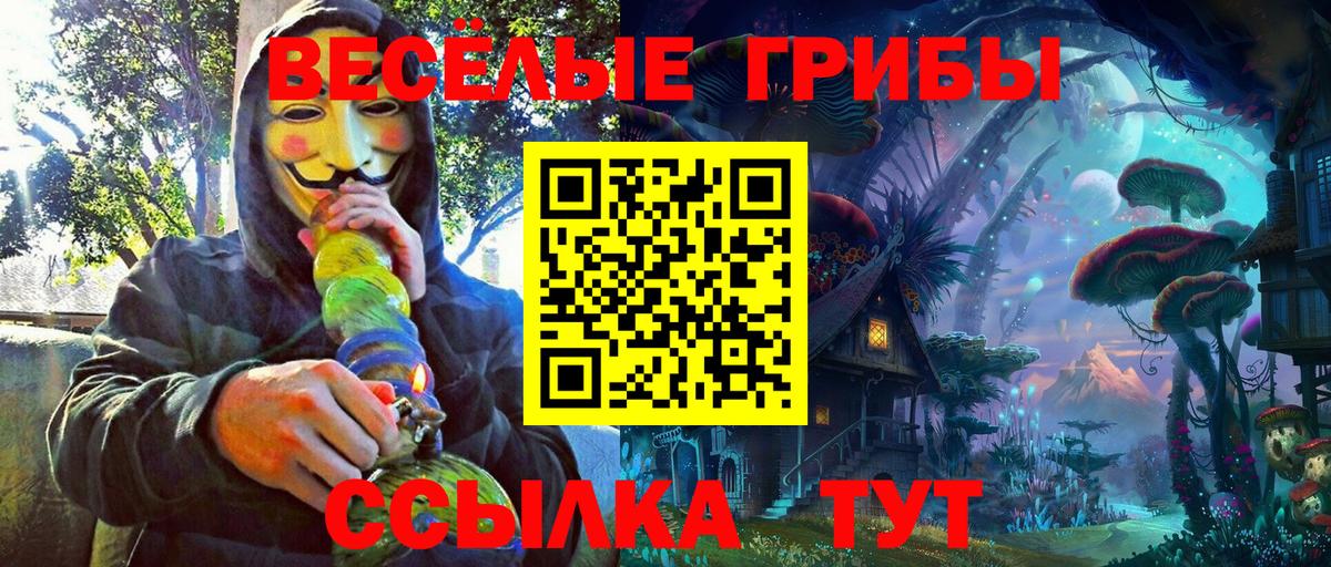 Псилоцибиновые грибы ЛСД Мурино