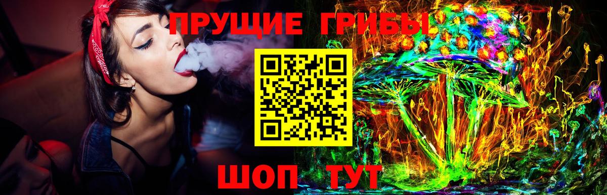 Галлюциногенные грибы GOLDEN TEACHER  где можно купить   Мурино  Вход с VPN 