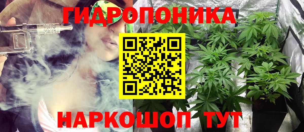 Бошки Шишки сатива  Бошки Шишки White Widow  Мурино  МАРИХУАНА MAZAR  Вход с VPN  Конопля семена 